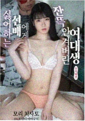 星际牛仔 电视剧 2025